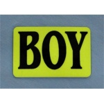 boy_badge_4e028957a0b0f