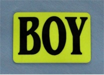 boy_badge_4e028957a0b0f